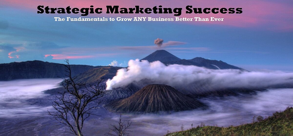 IMJustice Marketing strategic marketing success