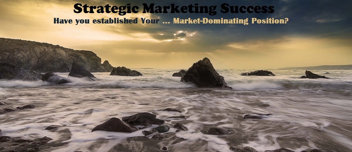 IMJustice Marketing and Strategic Marketing Success