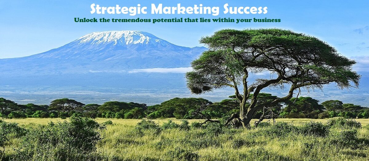 Strategic Marketing Success with IMJustice Marketing