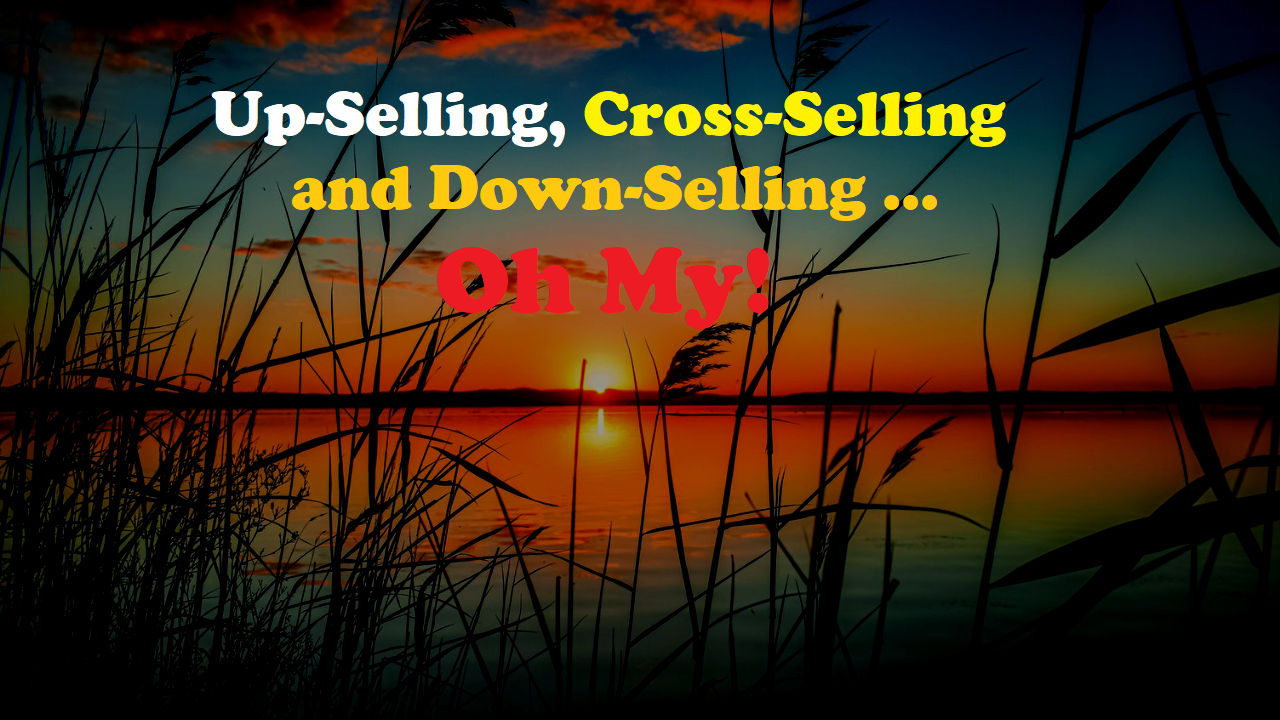 Up-Selling, Cross-Selling and Down-Selling ... Oh My!