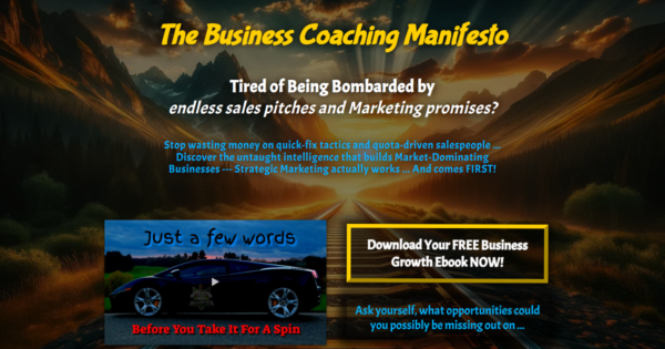The Business Coaching Manifesto Landing Page